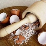 Ljuska jaja kao đubrivo za rasad paradajza