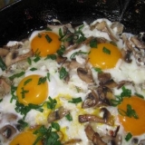 Jaja sa pečurkama: pržena i punjena