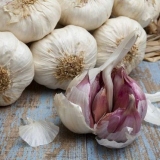 Proljetni bijeli luk - šta je to