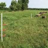 Električni pastir za stoku