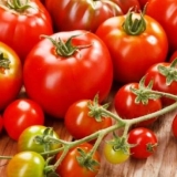 Jod kao đubrivo za paradajz