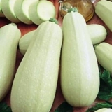 Tikvica domaćica san