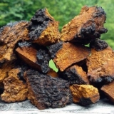 Kako čaga utječe na krvni tlak: povećava ili smanjuje, recepti