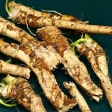 Kako ren utiče na potenciju muškarca