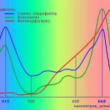 Koje su lampe potrebne za osvjetljavanje sadnica