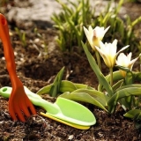 Koji se radovi rade u bašti u martu