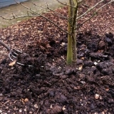 Koje je đubrivo bolje od stajnjaka?