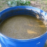 Koji stajnjak je najbolji za krastavce