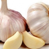 Kakvo tlo voli bijeli luk