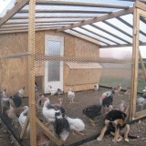 Napravite sami okvir za kokošinjac: upute korak po korak