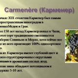 Carménère je klasična tehnička sorta grožđa