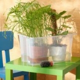 Cache-pot sa automatskim zalivanjem