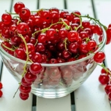 Kečap od ribizle za zimu