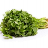 Cilantro - šta je to