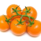 Šta su korisni narandžasti paradajz (paradajz) i kako ih uzgajati u...