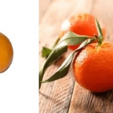Klementine i mandarine: u čemu je razlika, fotografija