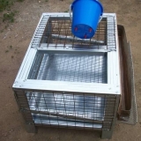 Diy kavezi za prepelice + crteži gratis