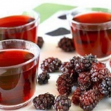 Kompot od duda (duda)