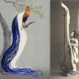 Phoenix kokoši: opis i karakteristike pasmine