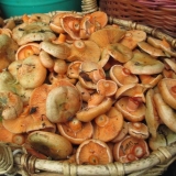 Ukiseljene gljive: recepti za zimu