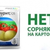 Lapis lazuli od korova: recenzije