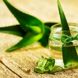 Ljekovita svojstva i upotreba aloje s medom