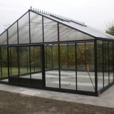 Kako uzgajati paradajz u stakleniku