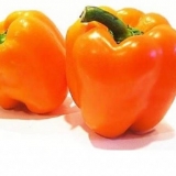 Najbolje sorte narandže paprike