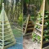 Najbolji način za uzgoj jagoda