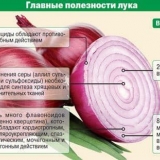 Izložbeni luk - uzgoj, sadnja i njega na otvorenom, kada treba ukloniti iz bašte