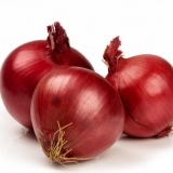 Luk luk danilovsky 301: opis sorte, recenzije, kako uzgajati iz sje...