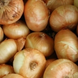 Setovi luka zlatni semko f1: opis sorte, recenzije