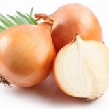 Sturon luk - karakteristike, karakteristike sadnje, njege, berbe i ...