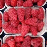 Raspberry maroseyka