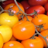 Kiseli paradajz sa lukom za zimu: recepti sa fotografijama