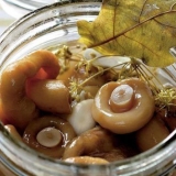 Ukiseljene vrijednosti: recepti za kuvanje kod kuće