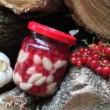 Ukiseljeni beli luk sa crvenom ribizlom za zimnicu