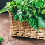 Maske, infuzije, dekocije koprive za kosu: recepti, ispiranja, recenzije