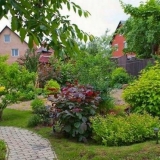 Višegodišnje grmlje za baštu