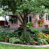 Višegodišnje biljke za sjenovita mjesta