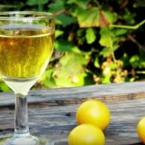 Preljev i tinktura od trešnje šljive: 6 recepata