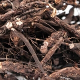 Bijela tinktura potentile: upute za upotrebu, koristi i štete, što liječi, recenzije