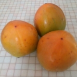 Nezreli dragun: kako sazreti, da li sazrijeva kod kuće