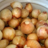 Obrada luka prije sadnje