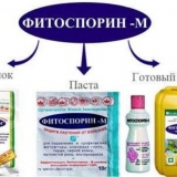 Obrada tla u stakleniku s fitosporinom u proljeće: prije sadnje, od bolesti, od štetočina