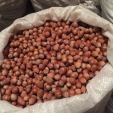 Orezivanje lješnjaka