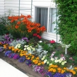 Izrada dvorišta ispred kuće + fotografija