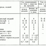 Opis mramorna kruška