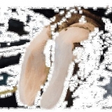 Opis krasnogorbatovske pasmine krava