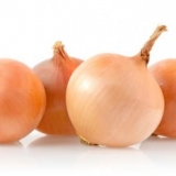 Opis sorte luka sevka centurion i njegovih karakteristika